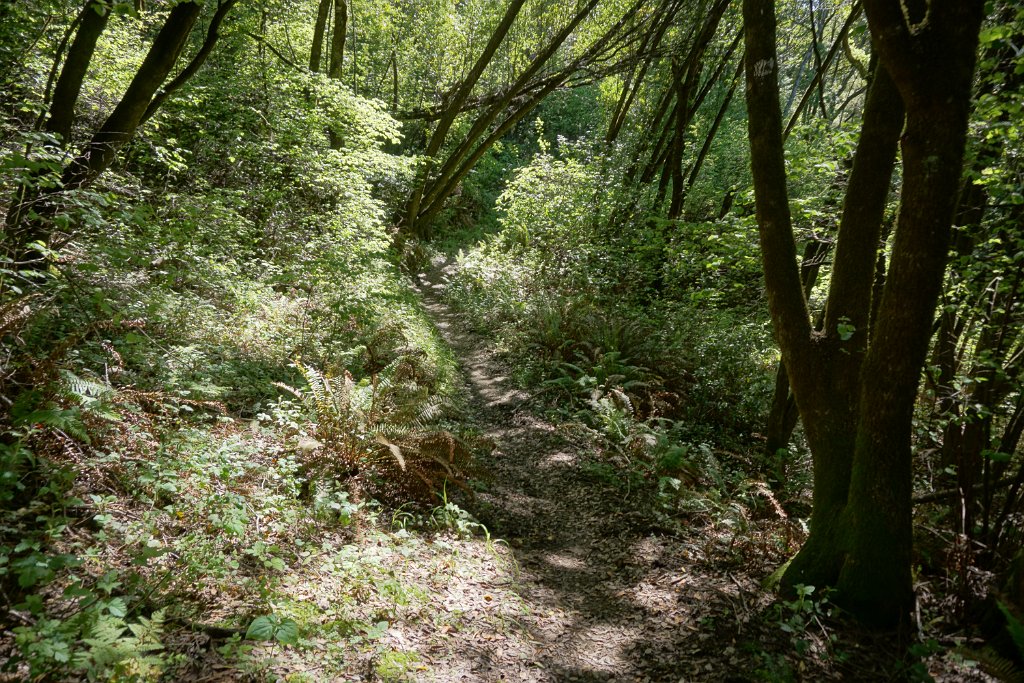 DSC05255