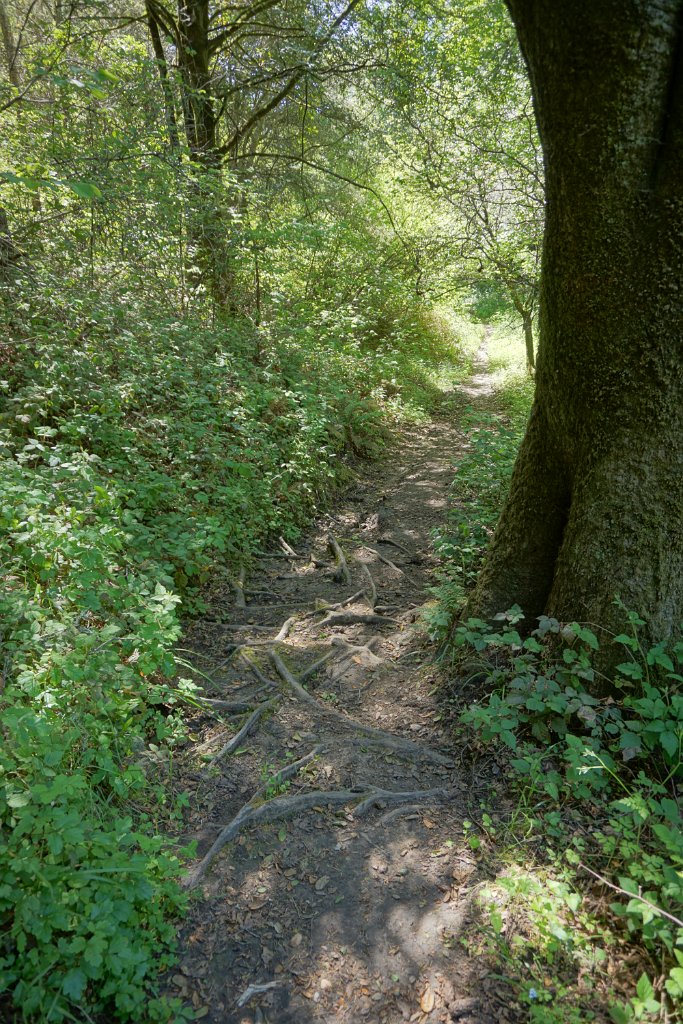 DSC05259