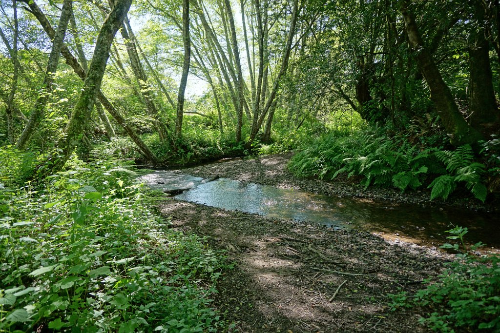 DSC05261