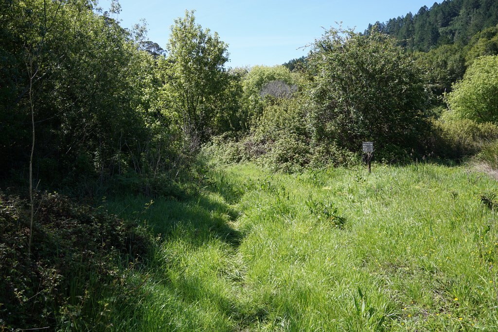 DSC05265