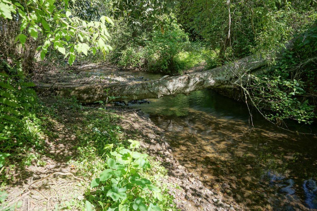 DSC05269