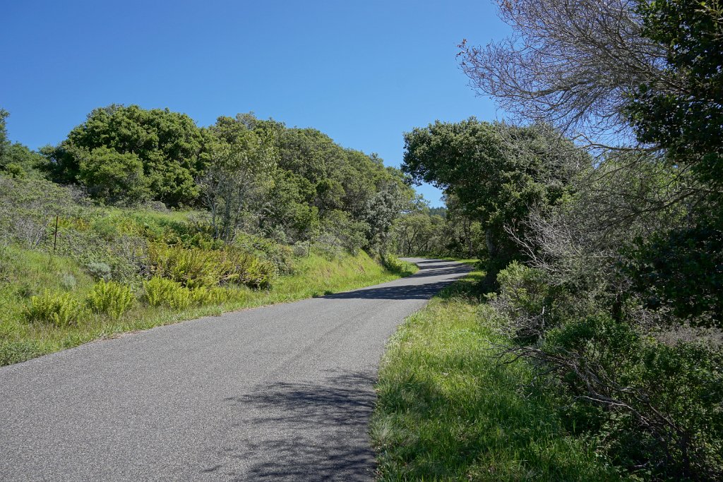 DSC05299