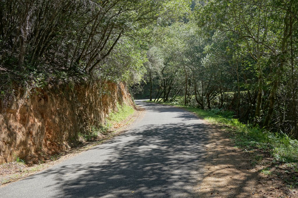 DSC05308