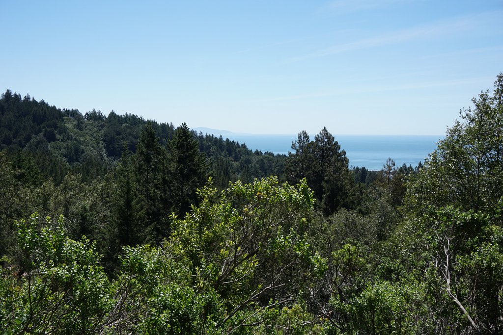 DSC05309