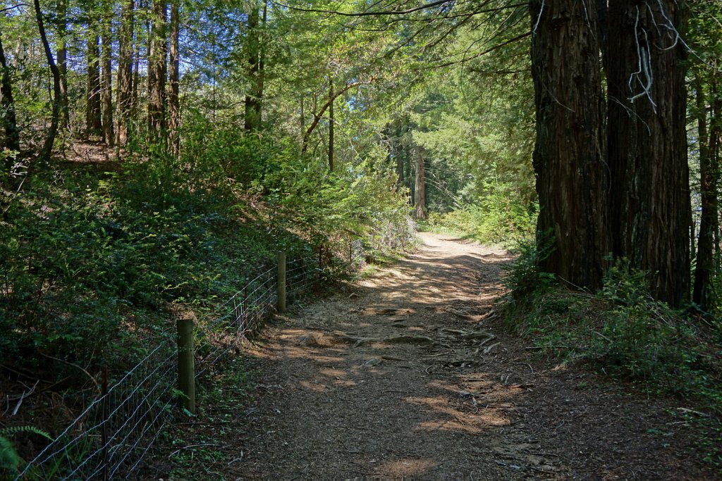 DSC05328