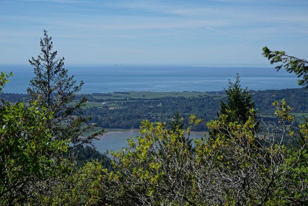 DSC05330