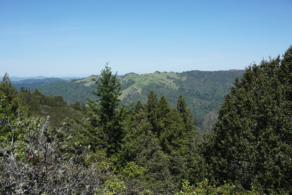 DSC05336
