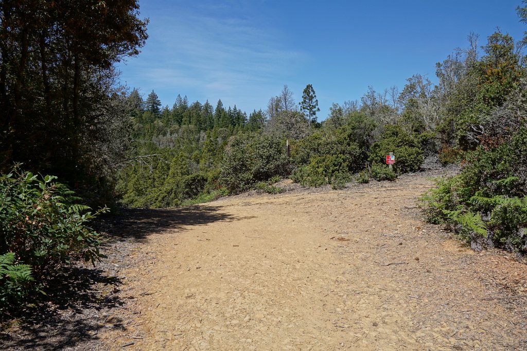 DSC05345