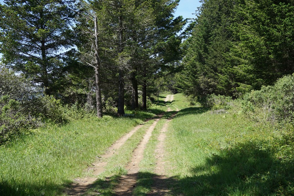 DSC05369