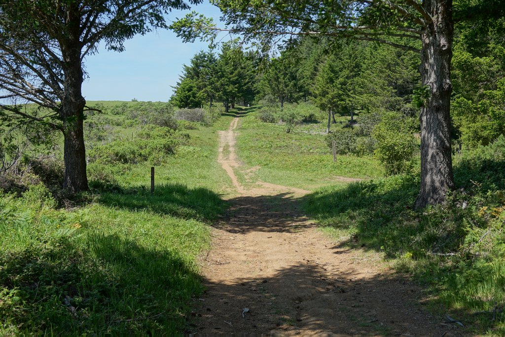 DSC05372