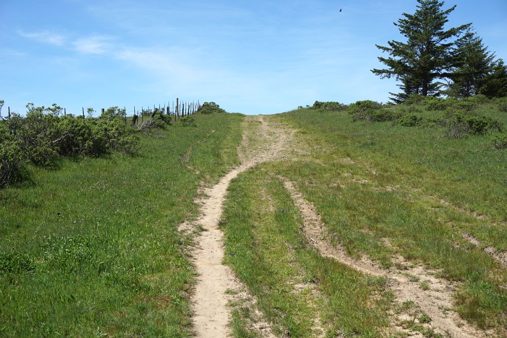 DSC05374