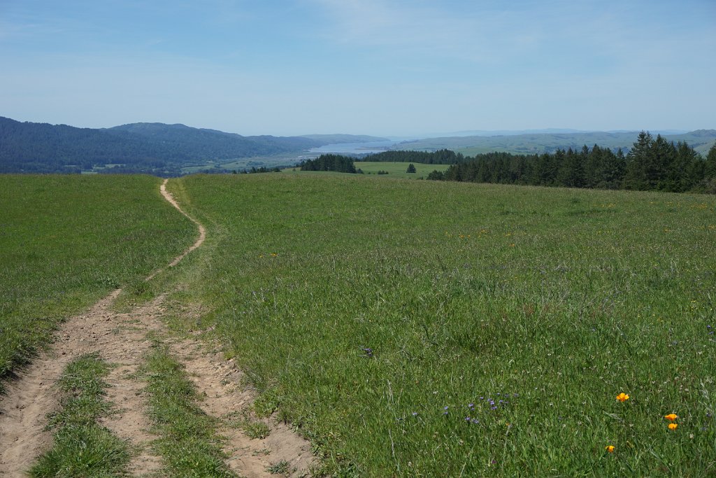 DSC05379