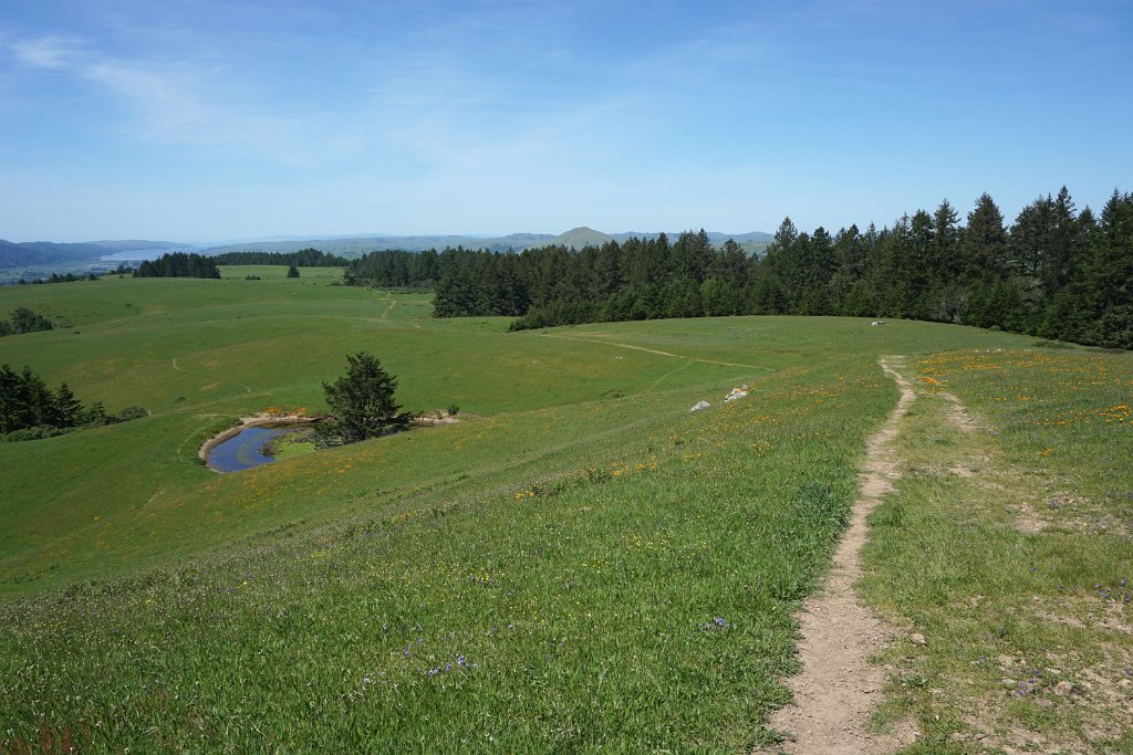 DSC05381