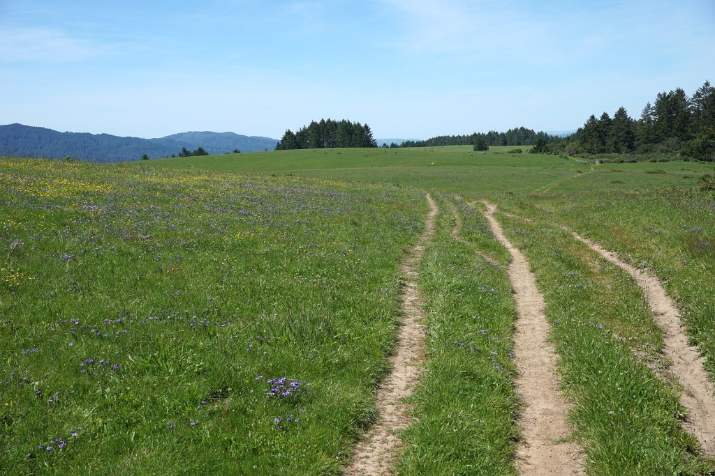 DSC05385