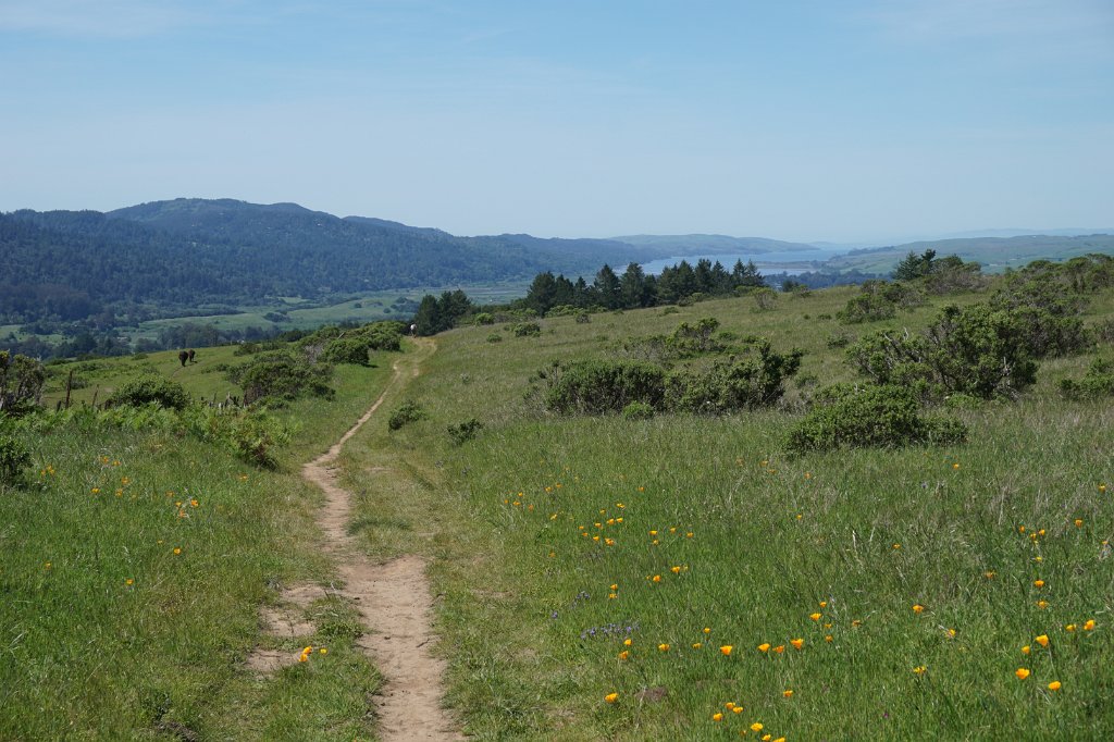 DSC05394