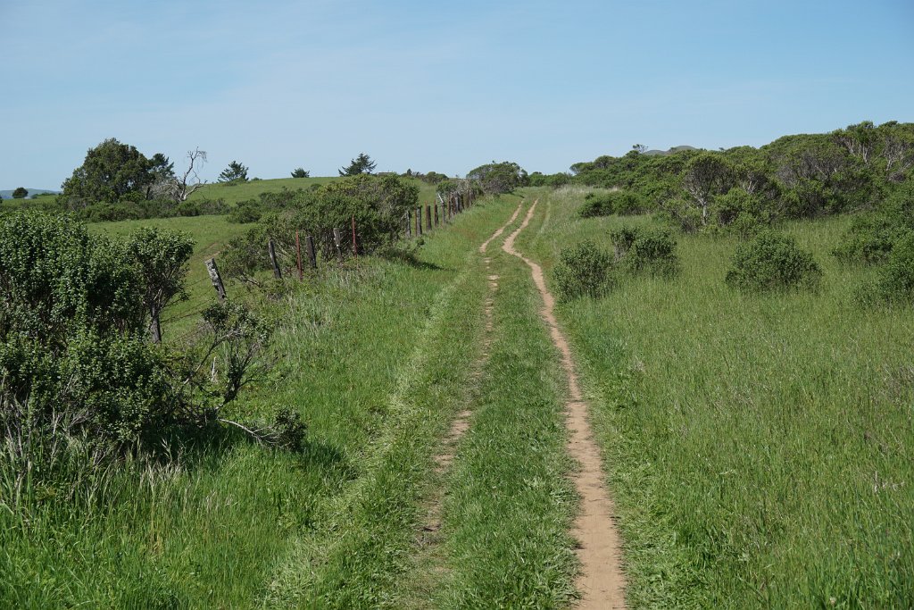 DSC05398