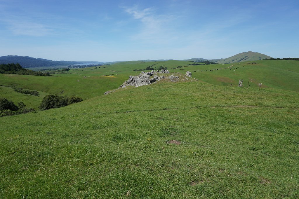 DSC05401