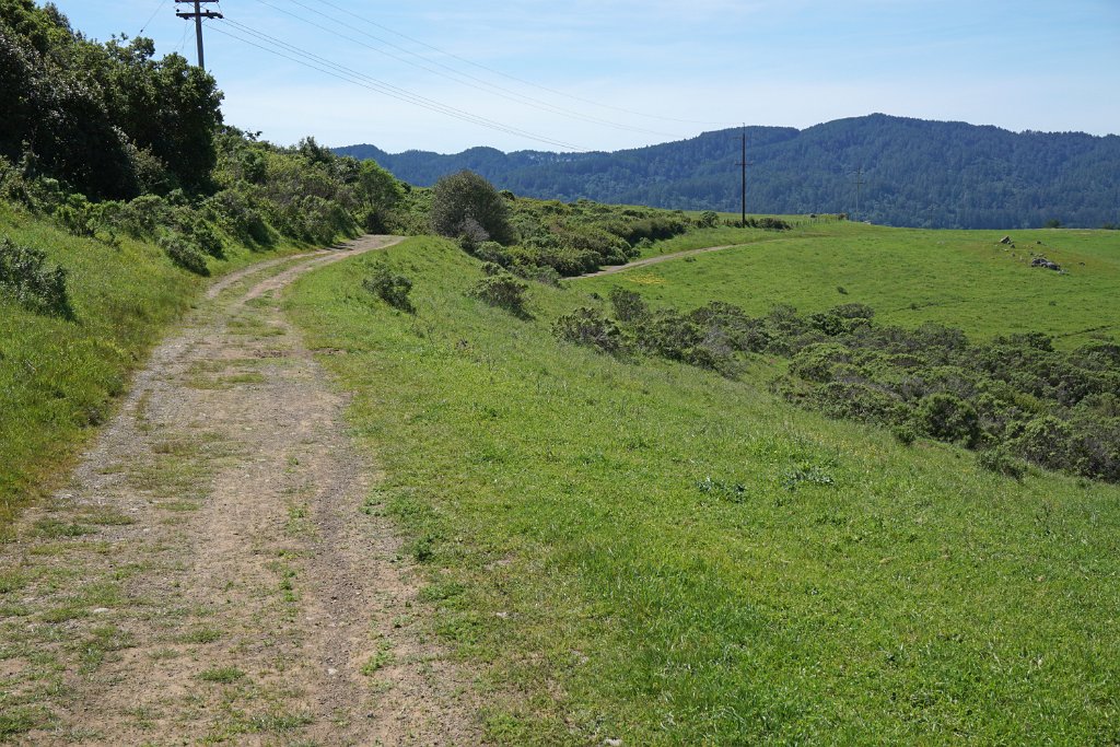 DSC05403