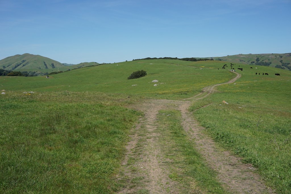 DSC05405