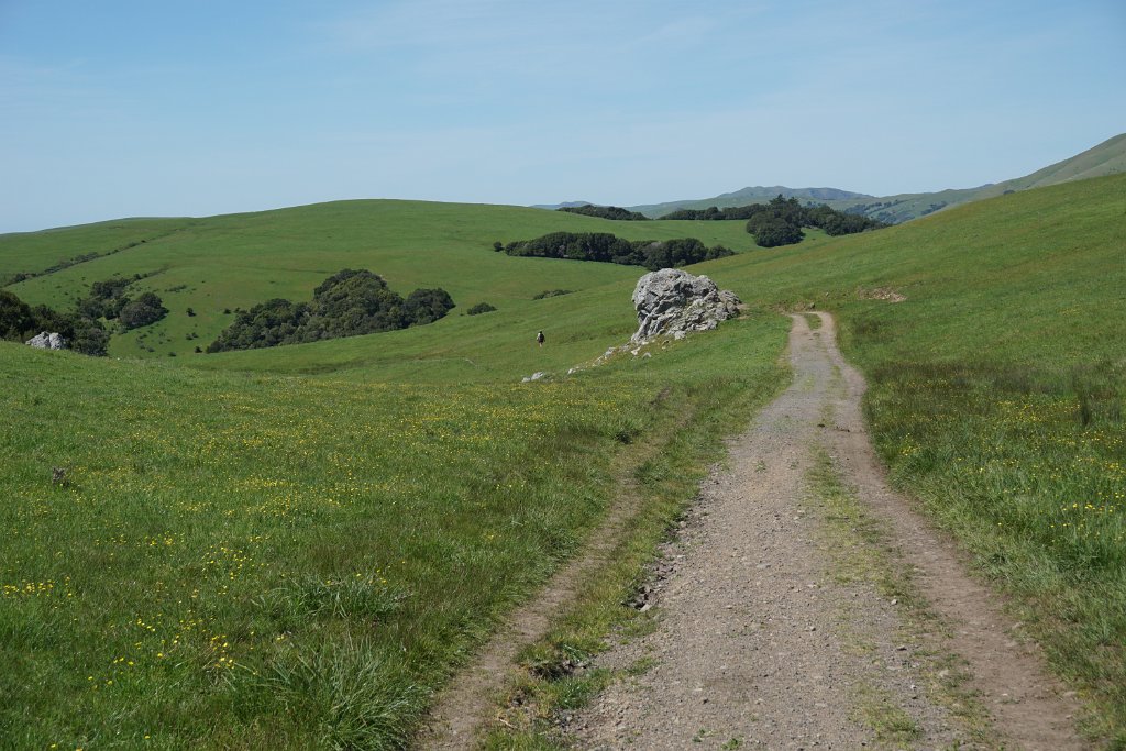 DSC05407
