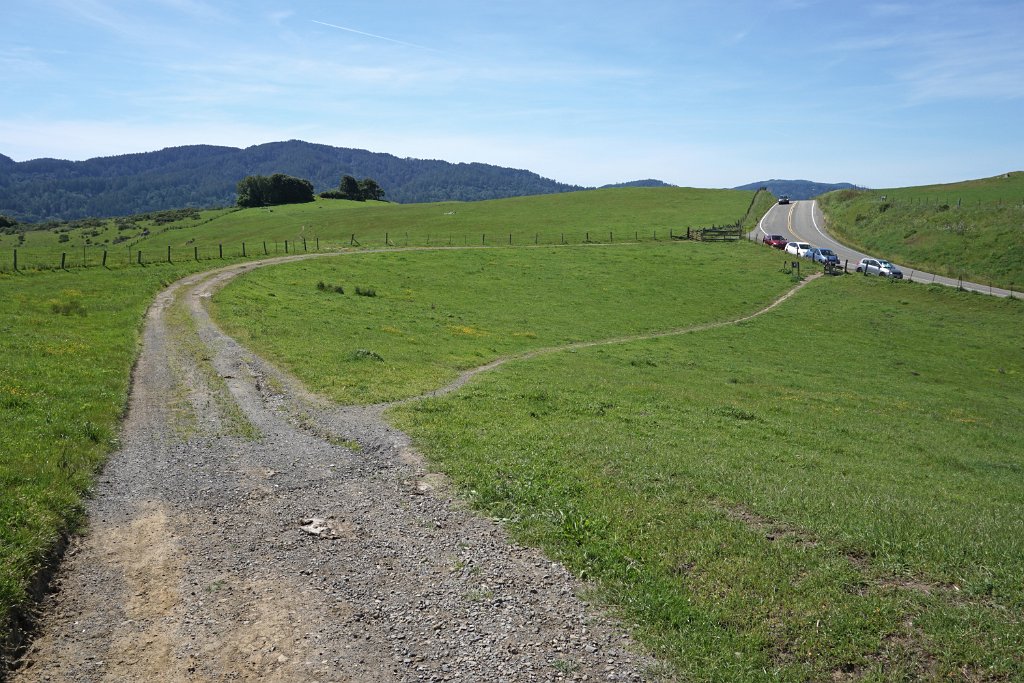 DSC05411