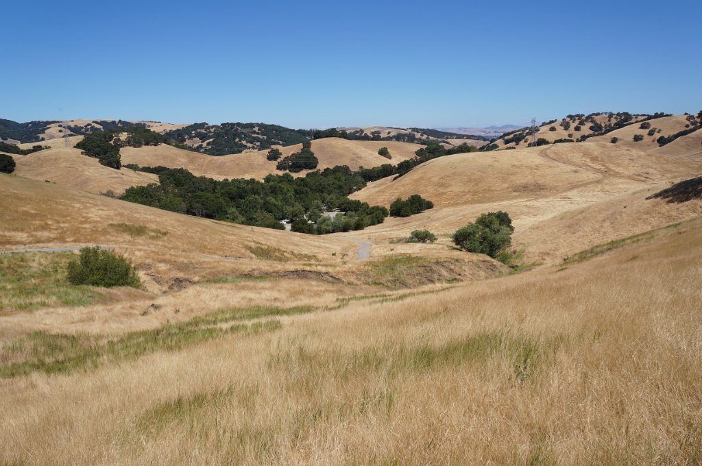 DSC02175