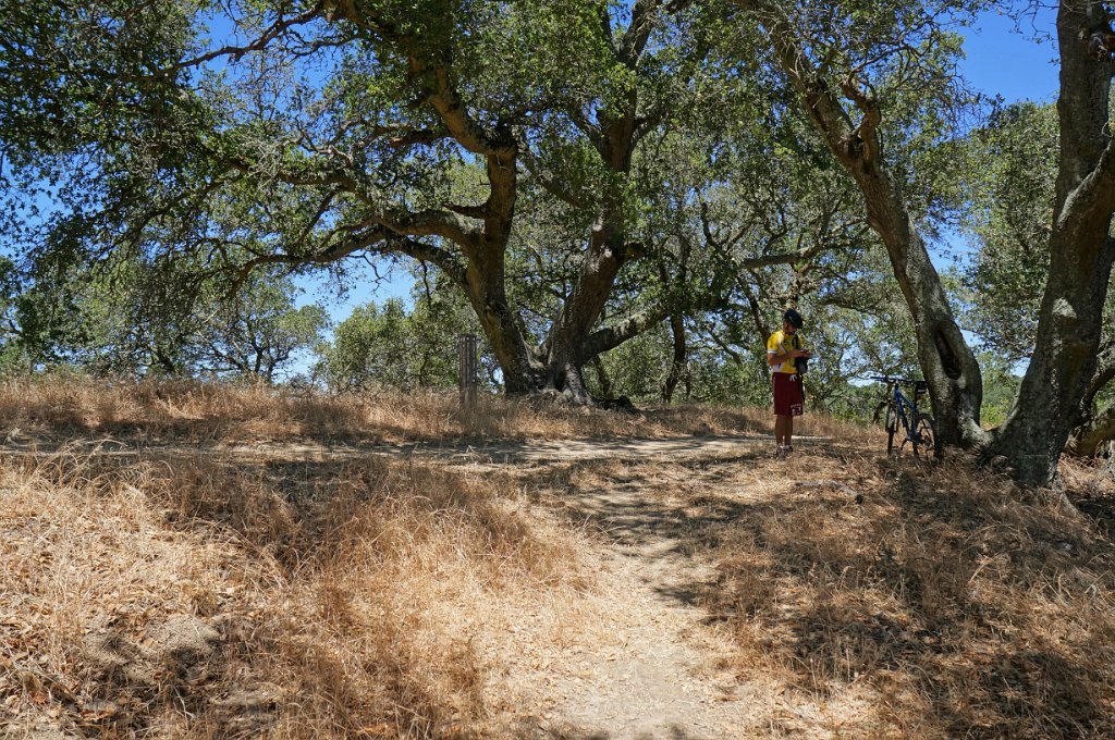 DSC02215
