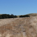 DSC02135