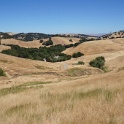 DSC02175