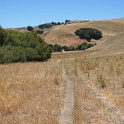 DSC02236