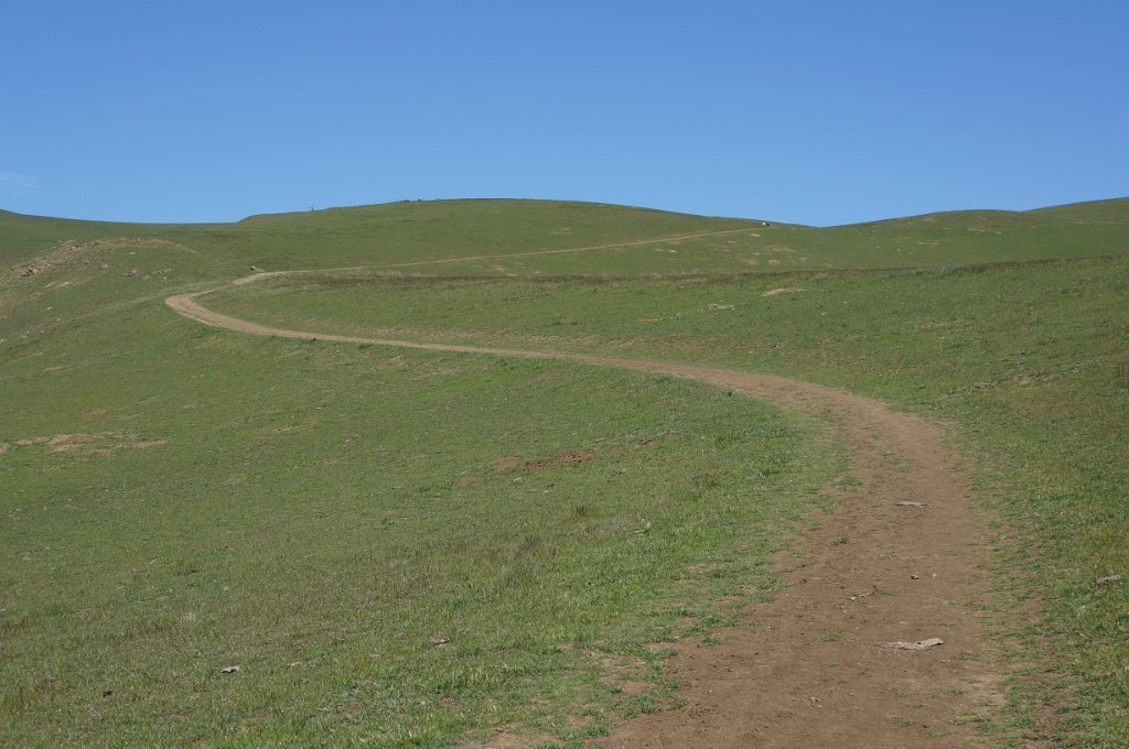DSC08354