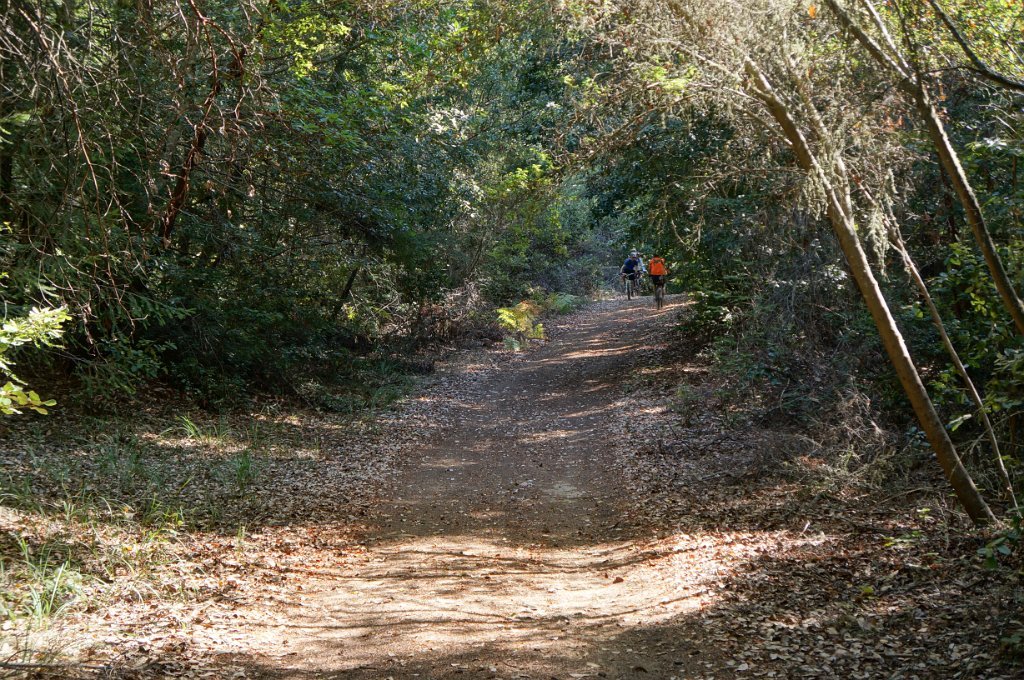 DSC03585