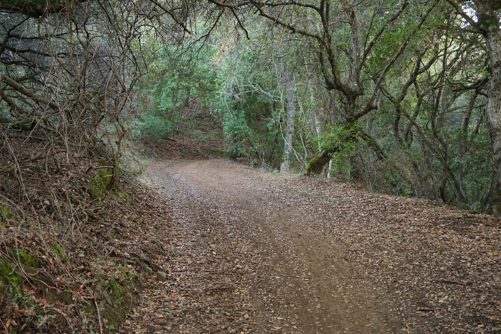 cDSC03294