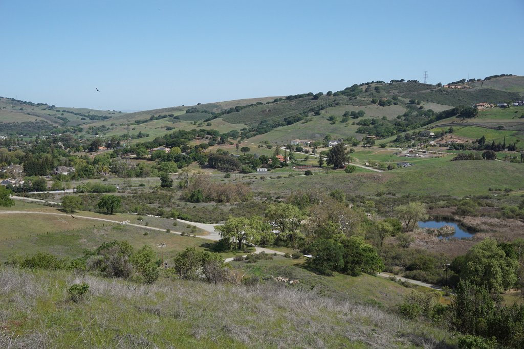 dDSC08554