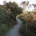 bDSC08465