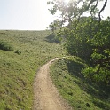 bDSC08476