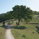bDSC08484