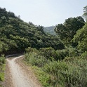 bDSC08514