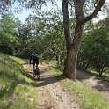 bDSC08516