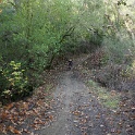 cDSC03288