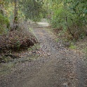 cDSC03291