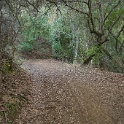 cDSC03294