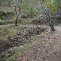 cDSC03303