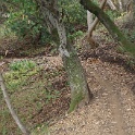 cDSC03305