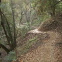 cDSC03310