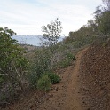 cDSC03319