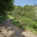 dDSC08541