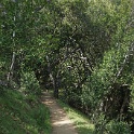 dDSC08556