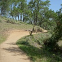 dDSC08560