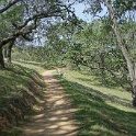dDSC08568